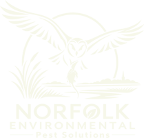 Norfolk Environmental