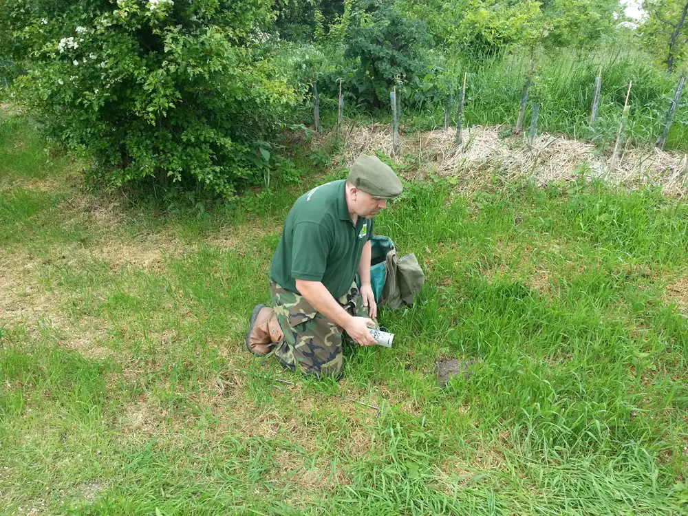 Mark from Norfolk Environmental Pest Solutions kneeling in a field setting a trap